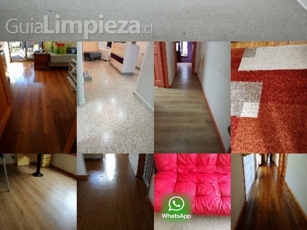 Limpieza y sanitización  de alfombras-pisos flotantes-tapices.png